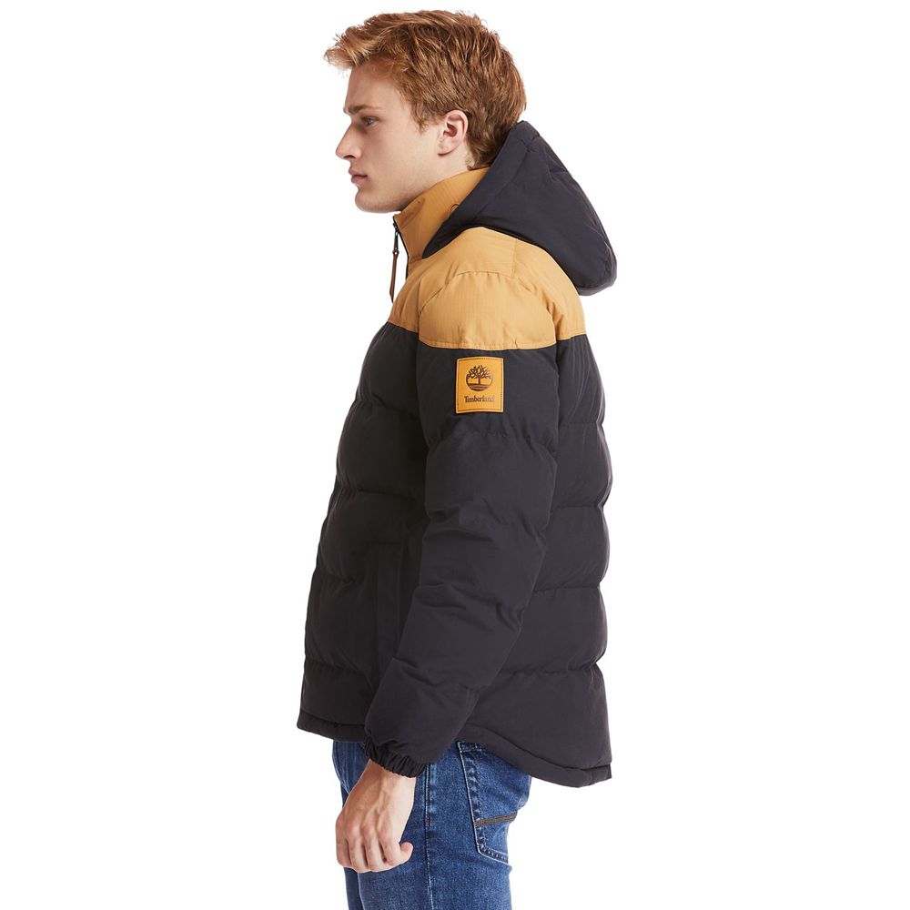 Chaquetas Timberland Argentina Hombre - Welch Mountain Warm Invierno - Marrones/Negras - SFLQDO-014